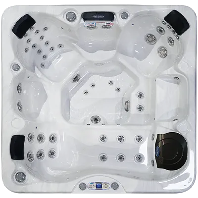Avalon EC-849L hot tubs for sale in Dear Born Heights